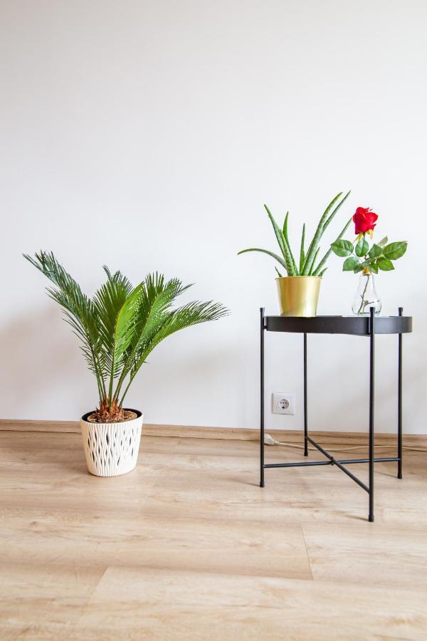 Best Rated Central Apartment Vienna - Ac, Wifi, 24H7Days Self Check-In, Board Games, Netflix Eksteriør bilde